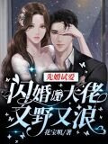 先婚试爱：闪婚后大佬又野又浪